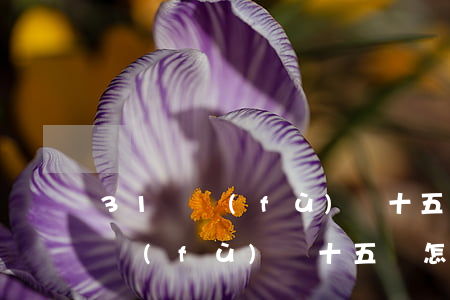 31歲負(fù)債十五萬怎么還-31歲負(fù)債十五萬怎么還款