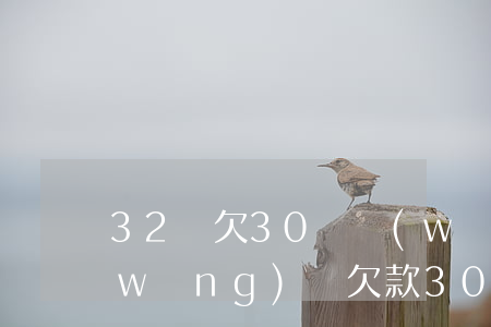 32歲欠30萬網(wǎng)貸天涯(網(wǎng)貸欠款30萬)