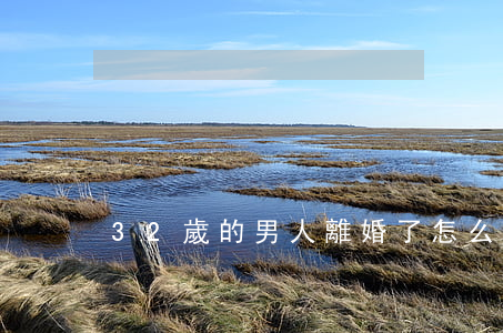 32歲的男人離婚了怎么辦