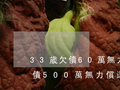 33歲欠債60萬無力償還怎辦-33歲欠債500萬無力償還怎辦