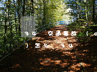 34歲交通事故對(duì)方全責(zé)怎么賠(34歲車禍死亡賠償多少錢)