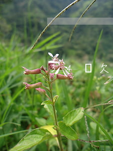 34歲欠信用卡4萬(欠信用卡四萬多后果)
