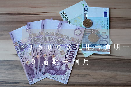 35000信用卡逾期一天(信用卡15000逾期三個月)