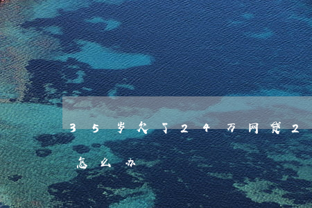 35岁欠了24万网贷(25岁欠网贷十多万怎么办)