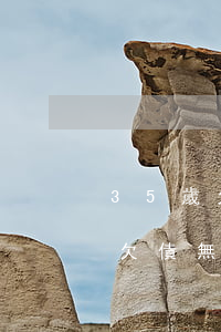 35歲欠債無數(shù)怎么辦-35歲欠債無數(shù)怎么辦啊