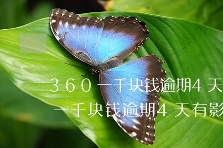 360一千块钱逾期4天有影响吗-360一千块钱逾期4天有影响吗知乎