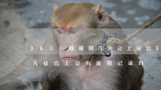 360一般逾期几天会上征信(360逾期几天征信上会有逾期记录吗)
