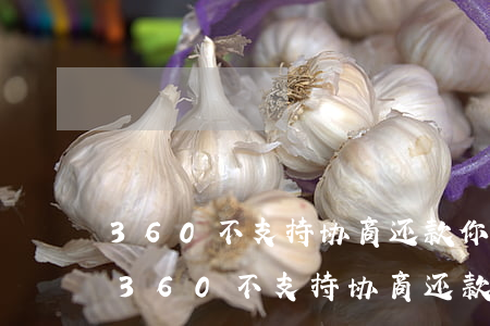 360不支持协商还款,你又还不上怎么办-360不支持协商还款,你又还不上怎么办呢