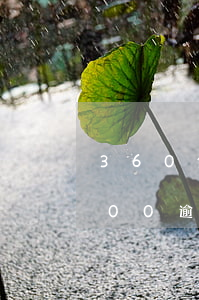 360代2000逾期(360借款欠费3000逾期一年会被起诉吗)