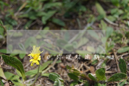 360你理财逾期-360 理财