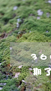 360來分期逾期了怎么辦(360來分期逾期了怎么辦)