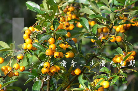360借条二次借无逾期(360借条2个月没还)