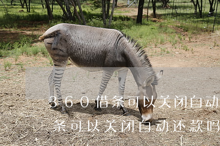 360借条可以关闭自动还款吗-360借条可以关闭自动还款吗