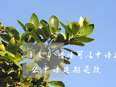 360借条可以申请延期还款吗-360怎么申请延期还款