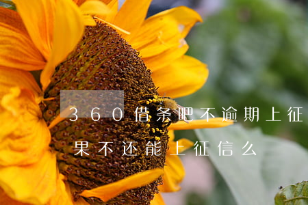 360借条吧不逾期上征信吗(360借条如果不还能上征信么)