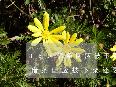 360借条回应被下架还要还款吗-360借条回应被下架还要还款吗是真的吗