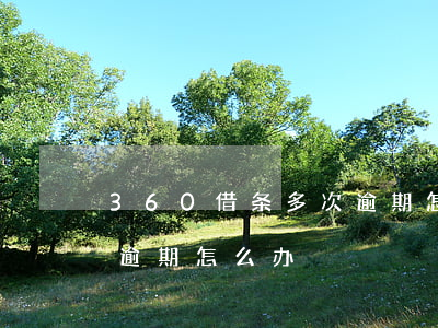 360借条多次逾期怎么办(360借条多次逾期怎么办)