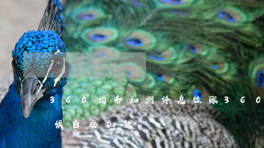 360借条如何停息挂账(360借条什么时候自动扣款)