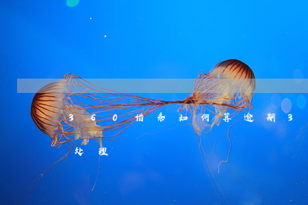 360借条如何算逾期(360借条预期怎么处理)