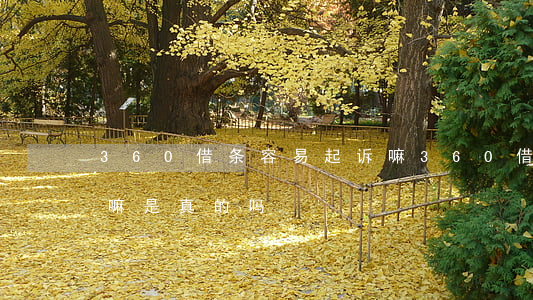 360借条容易起诉嘛 360借条容易起诉嘛是真的吗