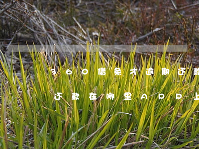 360借条才逾期还款在哪(360借条逾期还款在哪里APP上没找到啊)