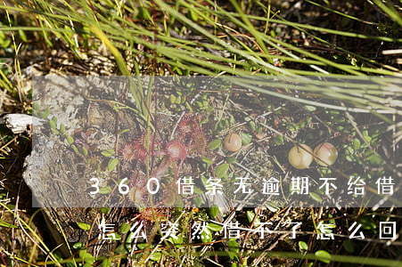 360借条无逾期不给借(360借条没逾期怎么突然借不了怎么回事)