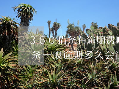 360借条有逾期费嘛利息多少-360借条一般逾期多久会让一次性还完