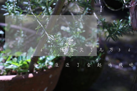 360借条欠了几万(360借条欠几百块钱两年没还了会起诉我吗)