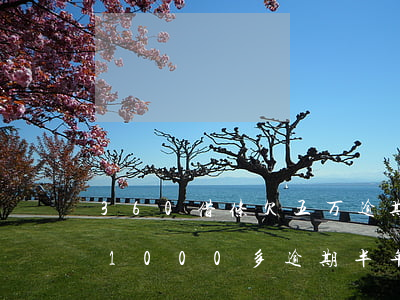 360借条欠五万逾期半年(360借条欠了1000多,逾期半年了要还多少钱)