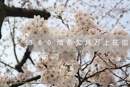 360借条欠八万上征信吗(360借条上征信的吗)