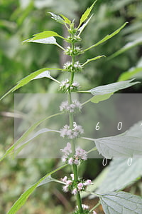 360借条欠款十五万逾期(360借条欠了1000多,逾期半年了要还多少钱)