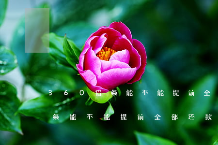 360借条能不能提前全部还款-360借条能不能提前全部还款呢
