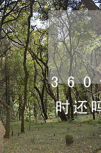 360借条能停息挂账吗(360借条可以随时还吗)