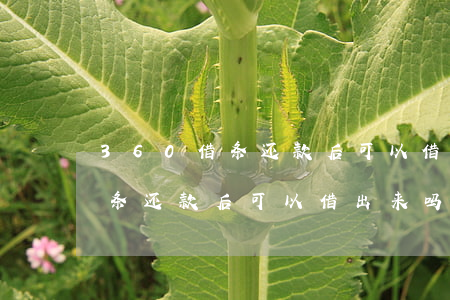 360借条还款后可以借出来吗-360借条还款后可以借出来吗安全吗