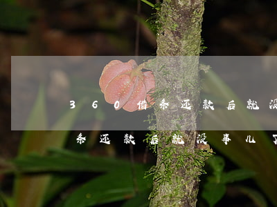 360借条还款后就没事儿了吧-360借条还款后就没事儿了吧怎么回事