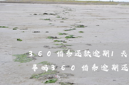 360借条还款逾期1天,然后全部还掉了,有事吗（360借条逾期还清了）