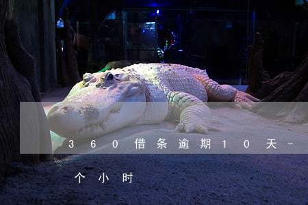 360借条逾期10天-360借条逾期几个小时