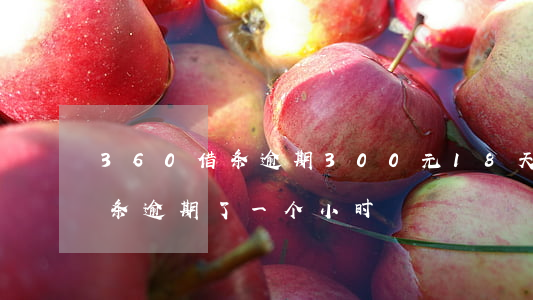 360借条逾期300元18天-360借条逾期了一个小时