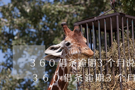 360借条逾期3个月说要起诉是真的吗-360借条逾期3个月说要起诉是真的吗吗