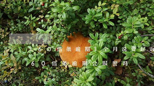 360借条逾期3个月说要起诉是真的吗（360借条逾期会报警吗）