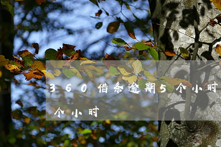 360借条逾期5个小时(360借条逾期5个小时)