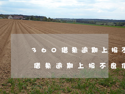360借条逾期上报不良信用记录-360借条逾期上报不良信用记录怎么办