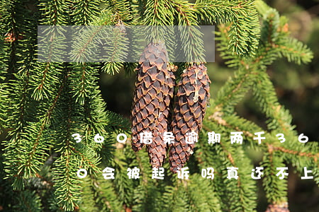 360借条逾期两千(360借条逾期2000会被起诉吗?真还不上怎么办)