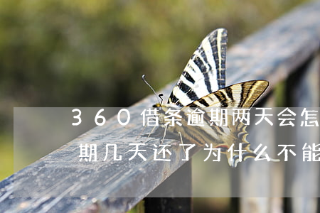 360借条逾期两天会怎么样(360借条逾期几天还了,为什么不能借款了)