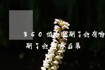 360借条逾期了会有啥后果(360借条逾期了会有啥后果)