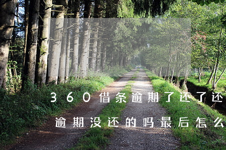 360借条逾期了还了还能借(360借条有逾期没还的吗?最后怎么样了?)