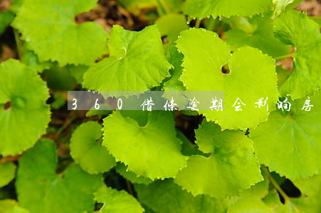360借条逾期会影响房贷吗