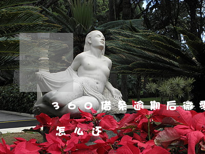360借条逾期后微零花(360借条微零花怎么还)