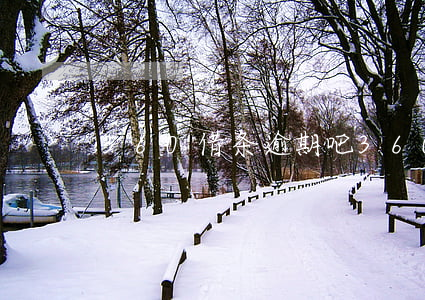 360借条逾期吧(360借条逾期吧)