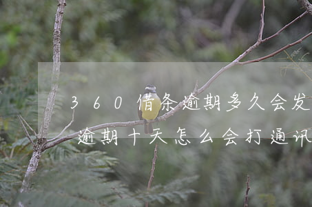 360借条逾期多久会发通讯录(360借条逾期十天怎么会打通讯录电话)